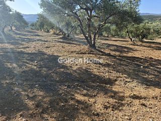 Οικόπεδο 9.200 τ.μ. για ενοικίαση, Ν. Ηρακλείου, Αρκαλοχώρι-thumb-16