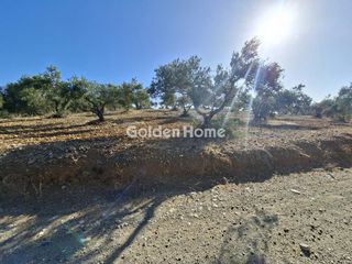 Οικόπεδο 9.200 τ.μ. για ενοικίαση, Ν. Ηρακλείου, Αρκαλοχώρι-thumb-25