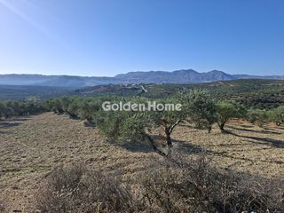 Οικόπεδο 9.200 τ.μ. για ενοικίαση, Ν. Ηρακλείου, Αρκαλοχώρι-thumb-11