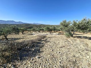 Οικόπεδο 9.200 τ.μ. για ενοικίαση, Ν. Ηρακλείου, Αρκαλοχώρι-thumb-14
