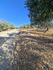 Οικόπεδο 9.200 τ.μ. για ενοικίαση, Ν. Ηρακλείου, Αρκαλοχώρι-thumb-23