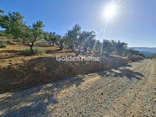 Οικόπεδο 9.200 τ.μ. για ενοικίαση, Ν. Ηρακλείου, Αρκαλοχώρι-thumb-20