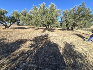 Οικόπεδο 9.200 τ.μ. για ενοικίαση, Ν. Ηρακλείου, Αρκαλοχώρι-thumb-7