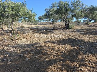 Οικόπεδο 9.200 τ.μ. για ενοικίαση, Ν. Ηρακλείου, Αρκαλοχώρι-thumb-18