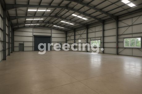 Industrial space 4.000sqm for rent-Schimatari