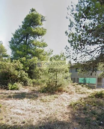 Land plot 1.012 sqm for sale, Rest Of Attica, Afidnes