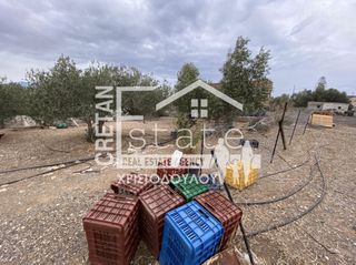 Οικόπεδο 878 τ.μ. για πώληση, Ν. Λασιθίου, Ιεράπετρα-thumb-3