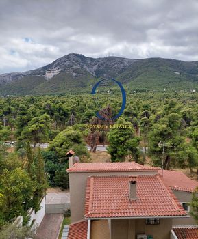 Οικόπεδο 786τ.μ. για πώληση-Διόνυσος » Κέντρο