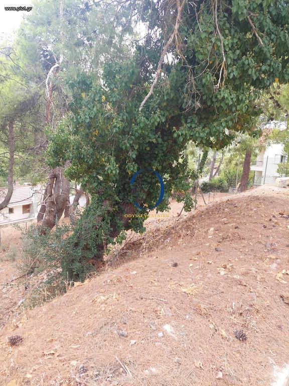 Οικόπεδο 786 τ.μ. προς πώληση, Κέντρο Διονύσου