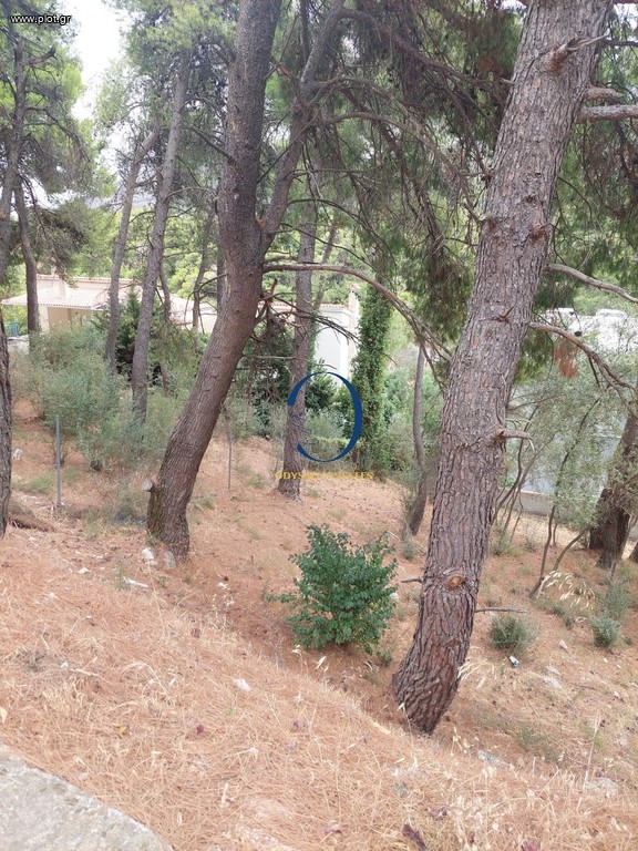 Οικόπεδο 786 τ.μ. προς πώληση, Κέντρο Διονύσου