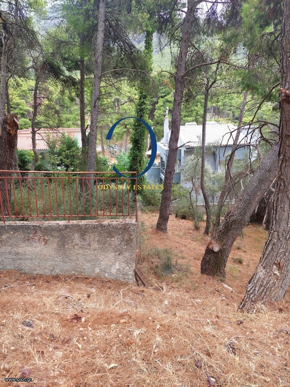 Οικόπεδο 786 τ.μ. προς πώληση, Κέντρο Διονύσου