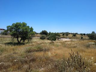 Οικόπεδο 4.092 τ.μ. για πώληση, Αργολίδα, Κρανίδι-thumb-9