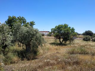 Οικόπεδο 4.092 τ.μ. για πώληση, Αργολίδα, Κρανίδι-thumb-10