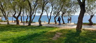 Διαμέρισμα 75 τ.μ. για ενοικίαση