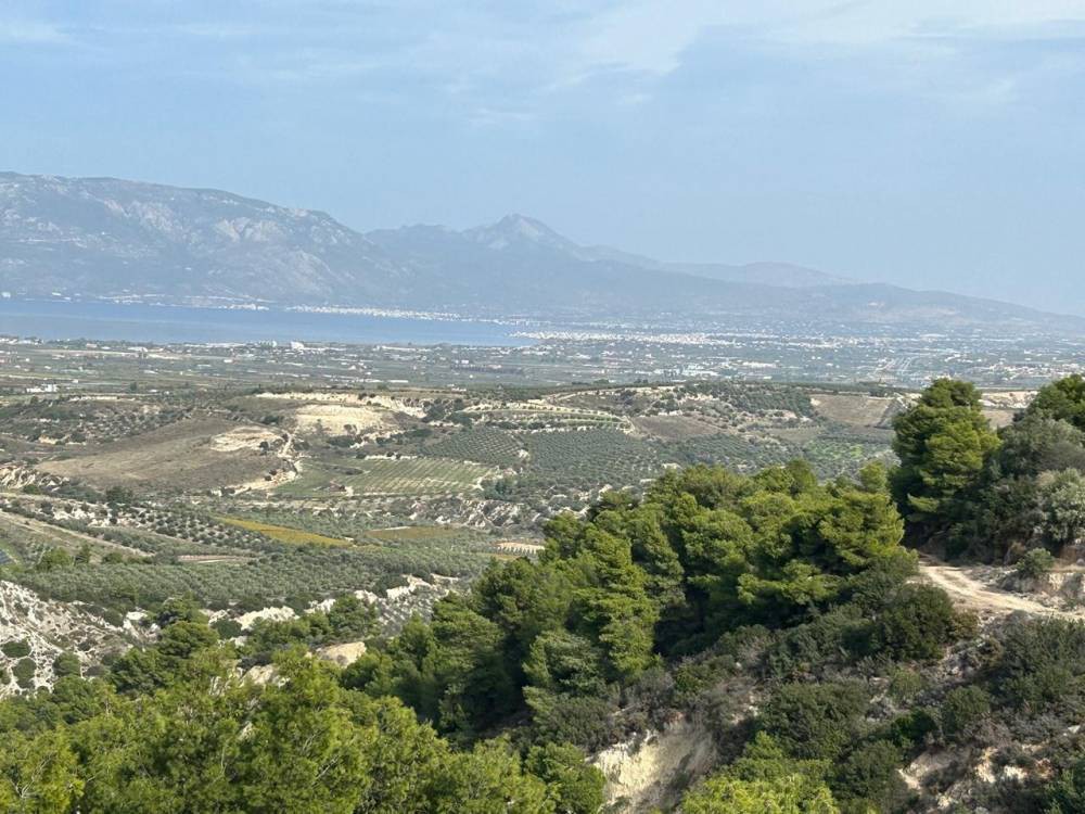 Οικόπεδο 10.676 τ.μ. πρός πώληση, Κορινθία, Βόχα