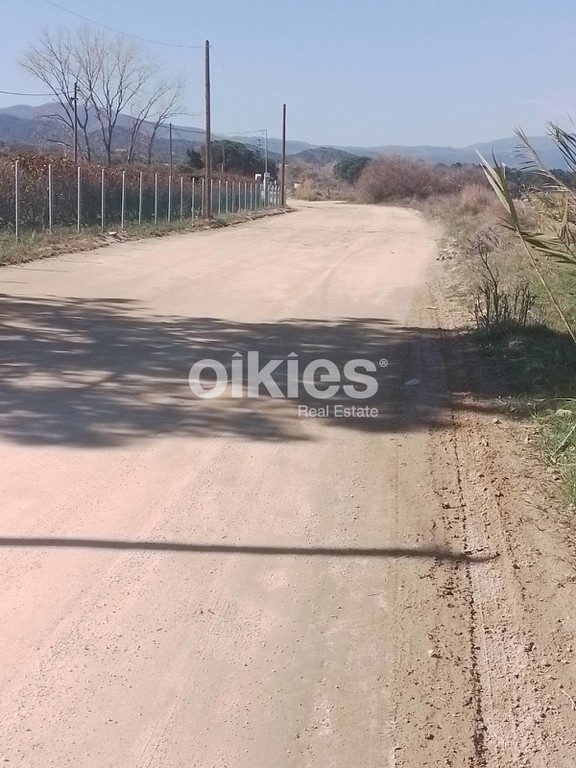 Αγροτεμάχια 501,51 τ.μ. προς πώληση, Ιερισσός