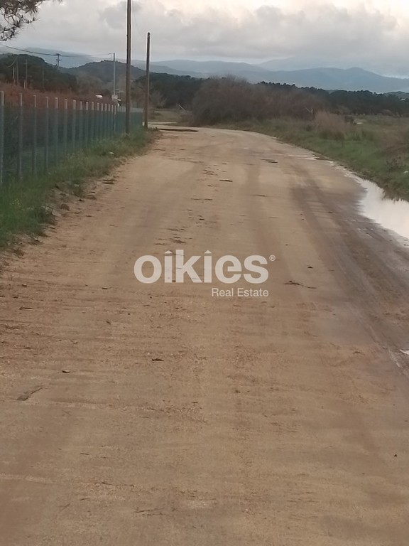 Αγροτεμάχια 501,51 τ.μ. προς πώληση, Ιερισσός