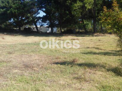 Αγροτεμάχια 501,51 τ.μ. προς πώληση, Ιερισσός