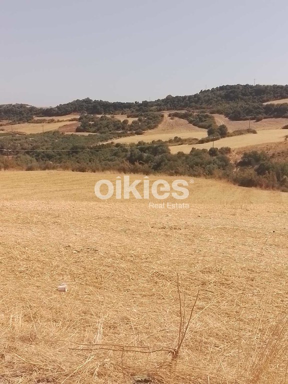 Αγροτεμάχια 4.500 τ.μ. προς πώληση, Ιερισσός