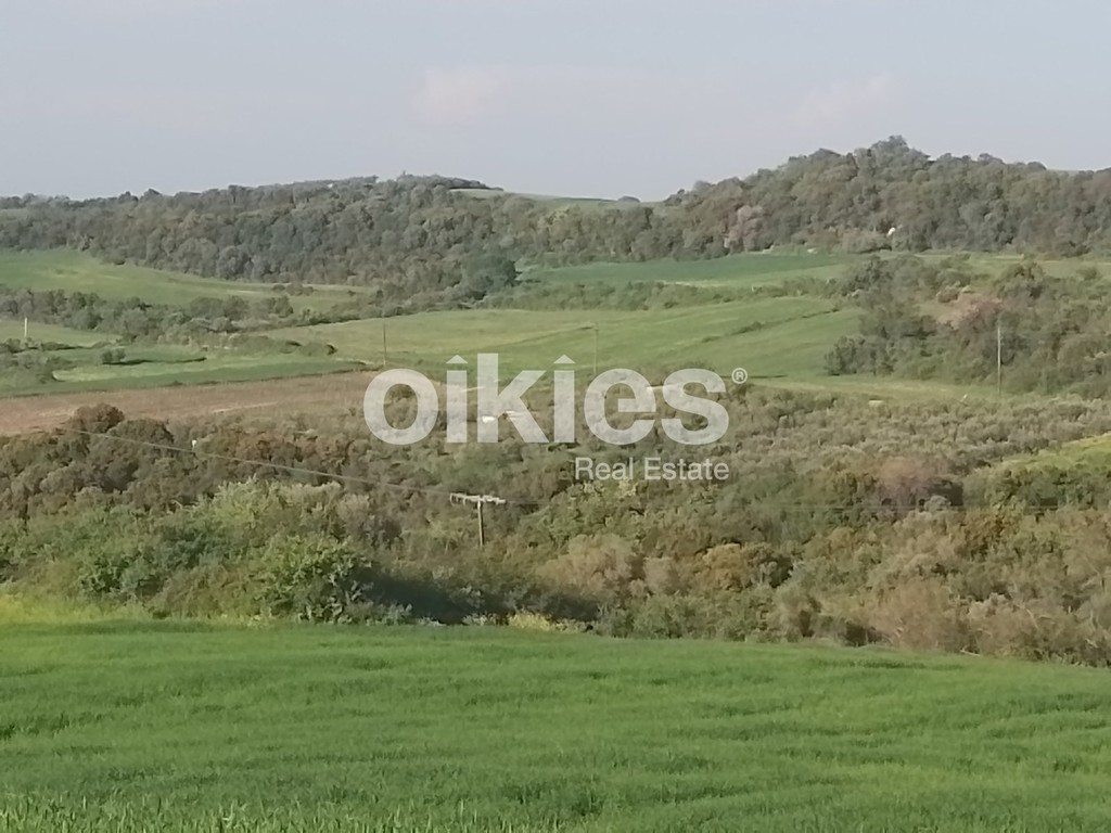 Αγροτεμάχια 4.500 τ.μ. προς πώληση, Ιερισσός