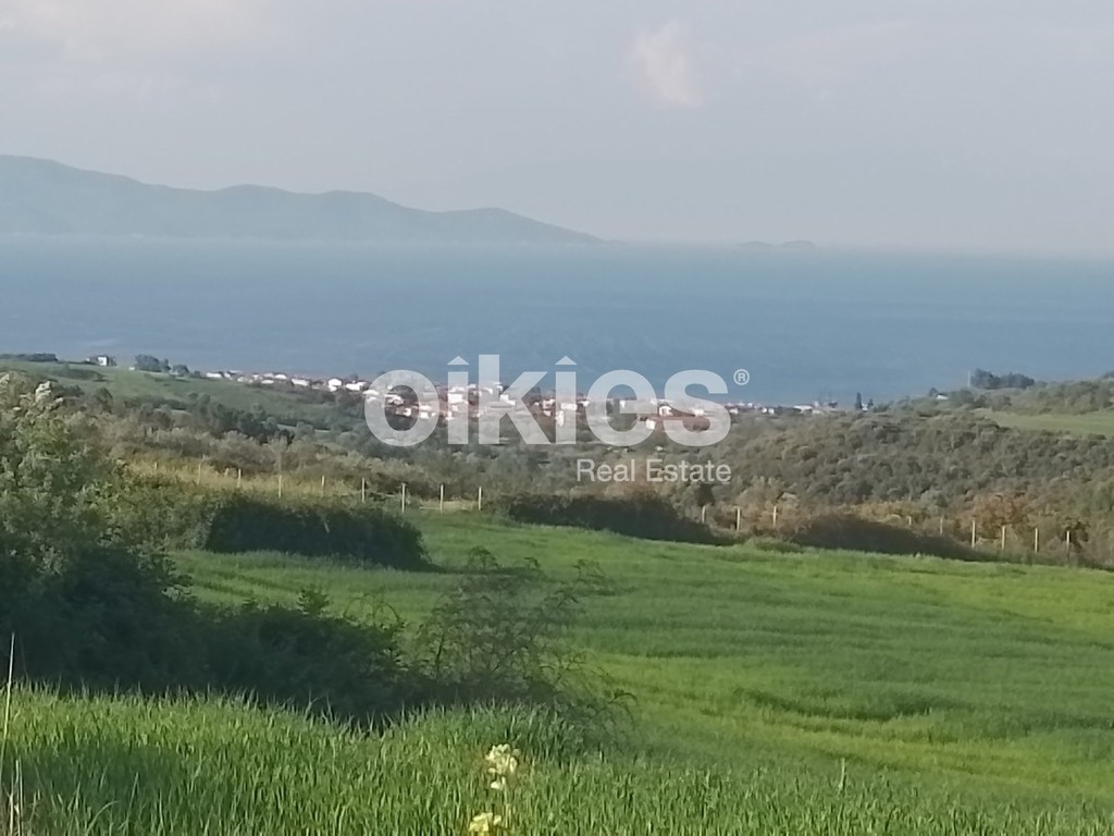 Αγροτεμάχια 4.500 τ.μ. προς πώληση, Ιερισσός