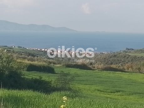 Αγροτεμάχια 4.500 τ.μ. προς πώληση