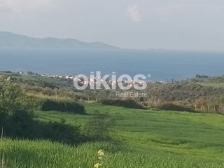 Αγροτεμάχια 4.500 τ.μ. για πώληση