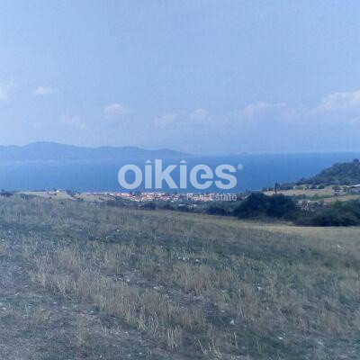Αγροτεμάχια 4.500 τ.μ. προς πώληση, Ιερισσός
