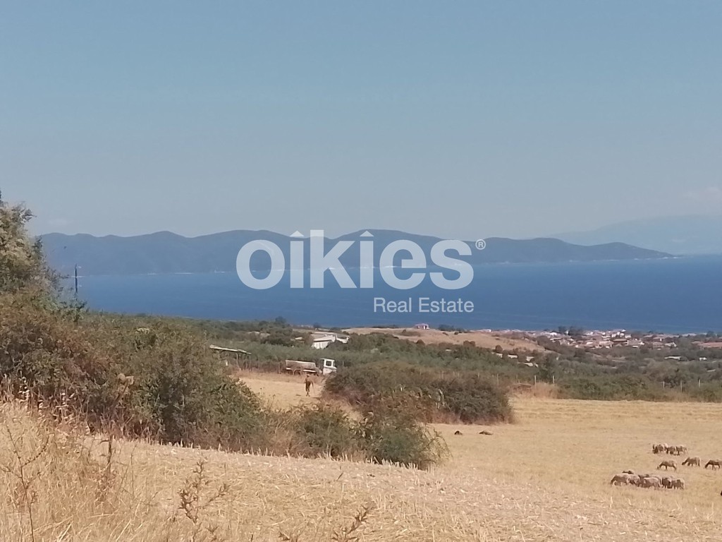 Αγροτεμάχια 4.500 τ.μ. προς πώληση, Ιερισσός