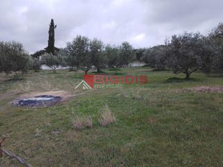 Αγροτεμάχια 2.900 τ.μ. για πώληση, Ν. Σερρών, Σέρρες-thumb-7