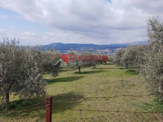 Αγροτεμάχια 2.900 τ.μ. για πώληση, Ν. Σερρών, Σέρρες-thumb-9