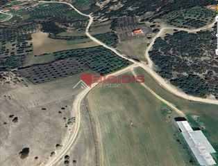 Αγροτεμάχια 2.900 τ.μ. για πώληση, Ν. Σερρών, Σέρρες-thumb-5
