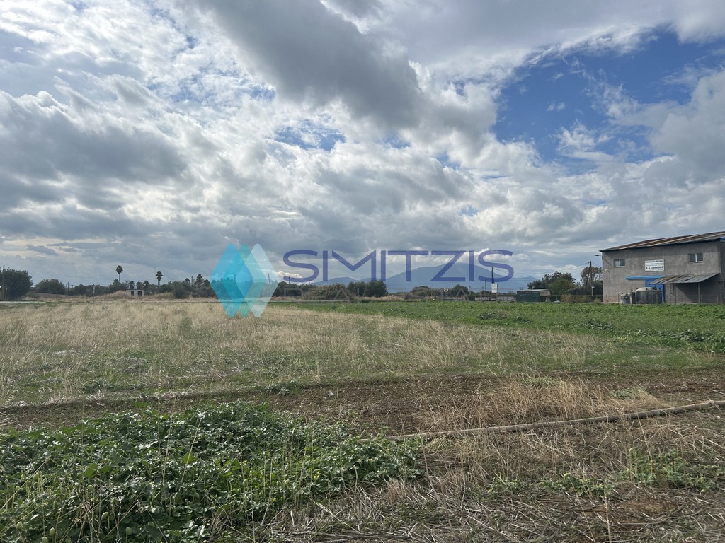 Αγροτεμάχια 5.637 τ.μ. προς πώληση, Ψαχνά
