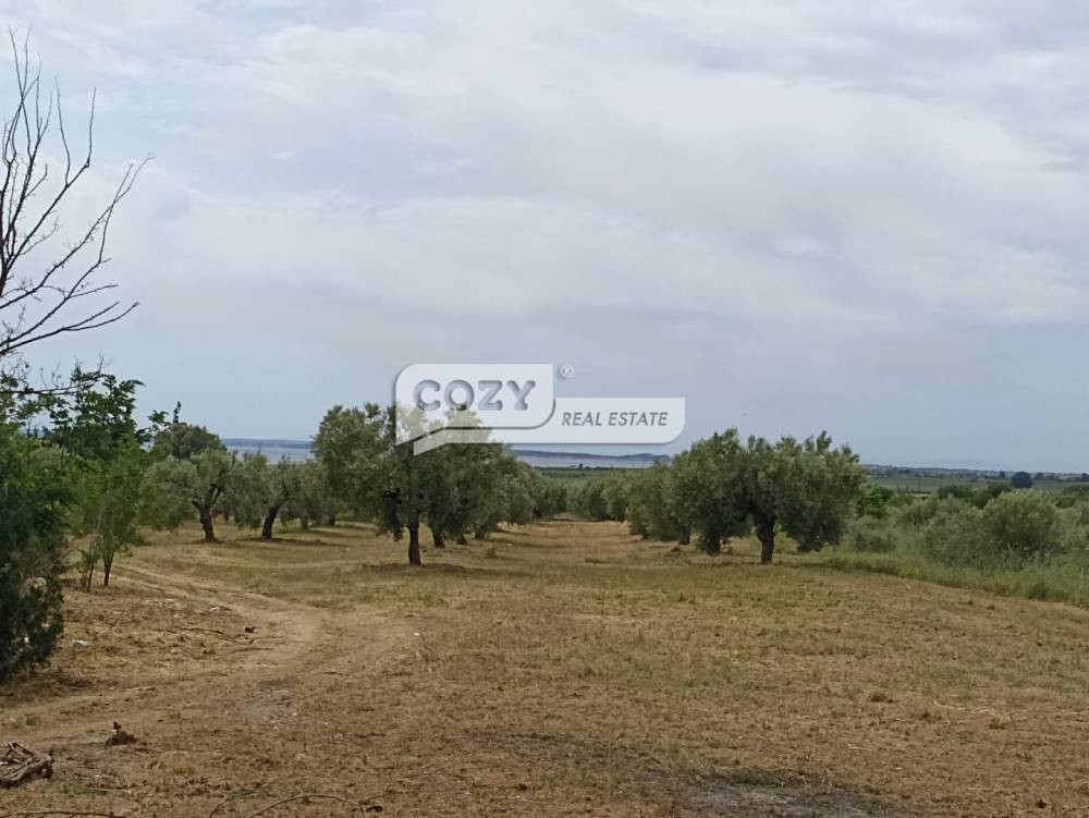 Οικόπεδο 846 τ.μ. προς πώληση, Καλύβες Πολυγύρου