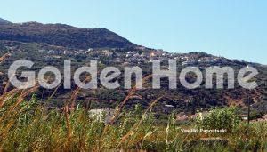 Οικόπεδο 7.000 τ.μ. για πώληση