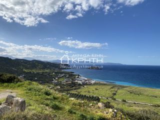 Οικόπεδο 5.500 τ.μ. για πώληση, Ν. Λασιθίου, Σητεία-thumb-2