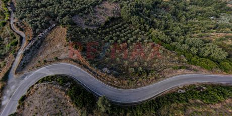 Parcel 8.217sqm for sale-Lappa » Argyroupoli