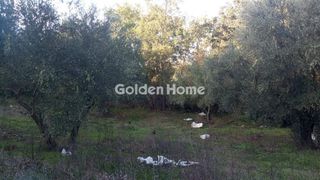 Αγροτεμάχια 21.000 τ.μ. για πώληση