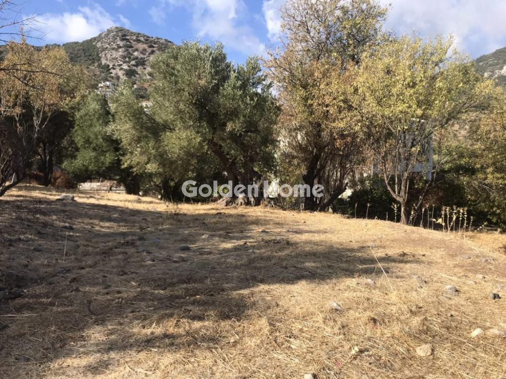 Αγροτεμάχια 2.700 τ.μ. προς πώληση, Αιτωλοακαρνανία, Θέρμος