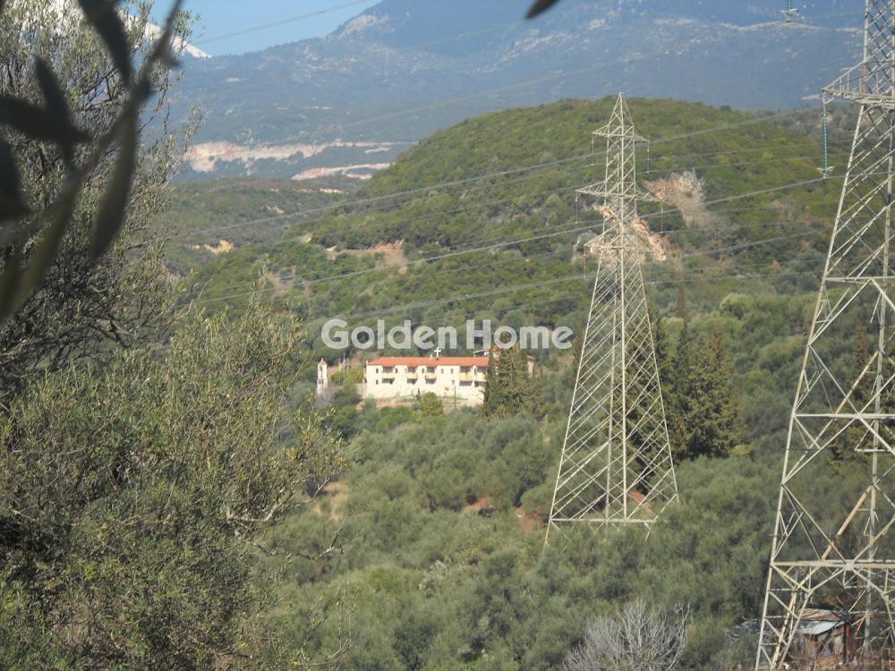 Αγροτεμάχια 2.700 τ.μ. προς πώληση, Αιτωλοακαρνανία, Θέρμος