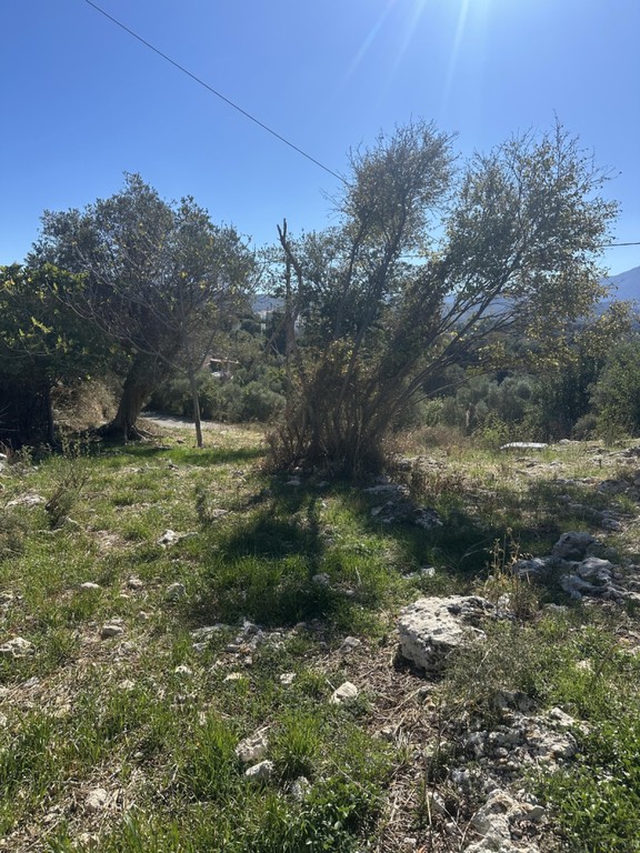 Οικόπεδο 1.480 τ.μ. πρός πώληση, Ν. Ρεθύμνου, Νικηφόρος Φωκάς