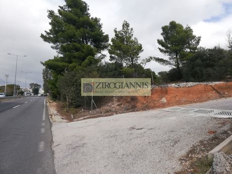 Αγροτεμάχια 3.000τ.μ. για πώληση-Ραφήνα