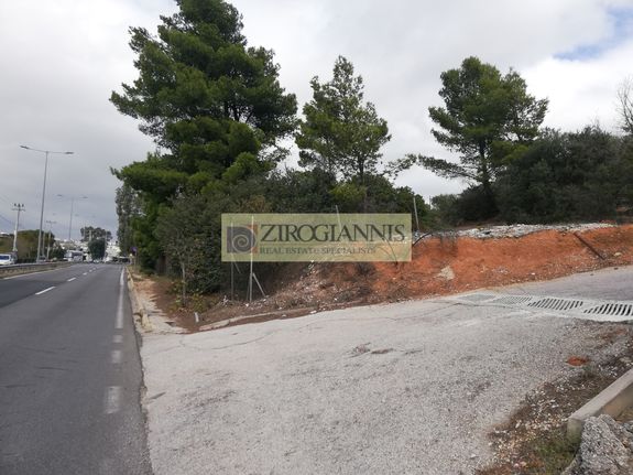 Αγροτεμάχια 3.000 τ.μ. για πώληση, Αττική - Υπόλοιπο, Ραφήνα