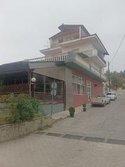 Κτίριο 400 τ.μ. για πώληση, Ν. Φλώρινας, Φιλώτας-thumb-3