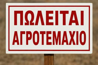 Αγροτεμάχια 5.000 τ.μ. για πώληση