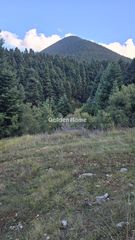 Οικόπεδο 8.000 τ.μ. για πώληση, Φωκίδα, Παρνασσός-thumb-2
