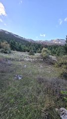 Οικόπεδο 8.000 τ.μ. για πώληση, Φωκίδα, Παρνασσός-thumb-3
