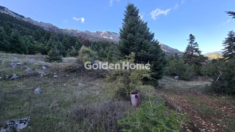 Οικόπεδο 8.000 τ.μ. για πώληση, Φωκίδα, Παρνασσός