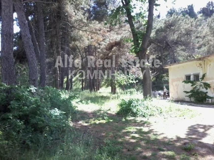 Οικόπεδο 5.200 τ.μ. πρός πώληση, Θεσσαλονίκη - Περιφ/Κοί Δήμοι, Θερμαϊκός