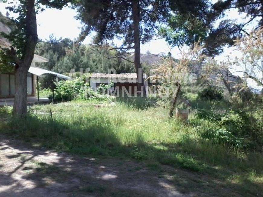 Οικόπεδο 5.200 τ.μ. πρός πώληση, Θεσσαλονίκη - Περιφ/Κοί Δήμοι, Θερμαϊκός